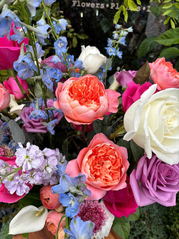 סידור אגרטלים מבחר המעצב