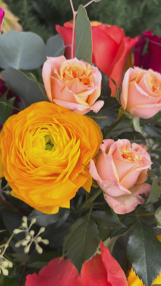 
            
                טעינה והפעלת וידאו במציג הגלריה, סידור אגרטלים מבחר המעצב
            
        