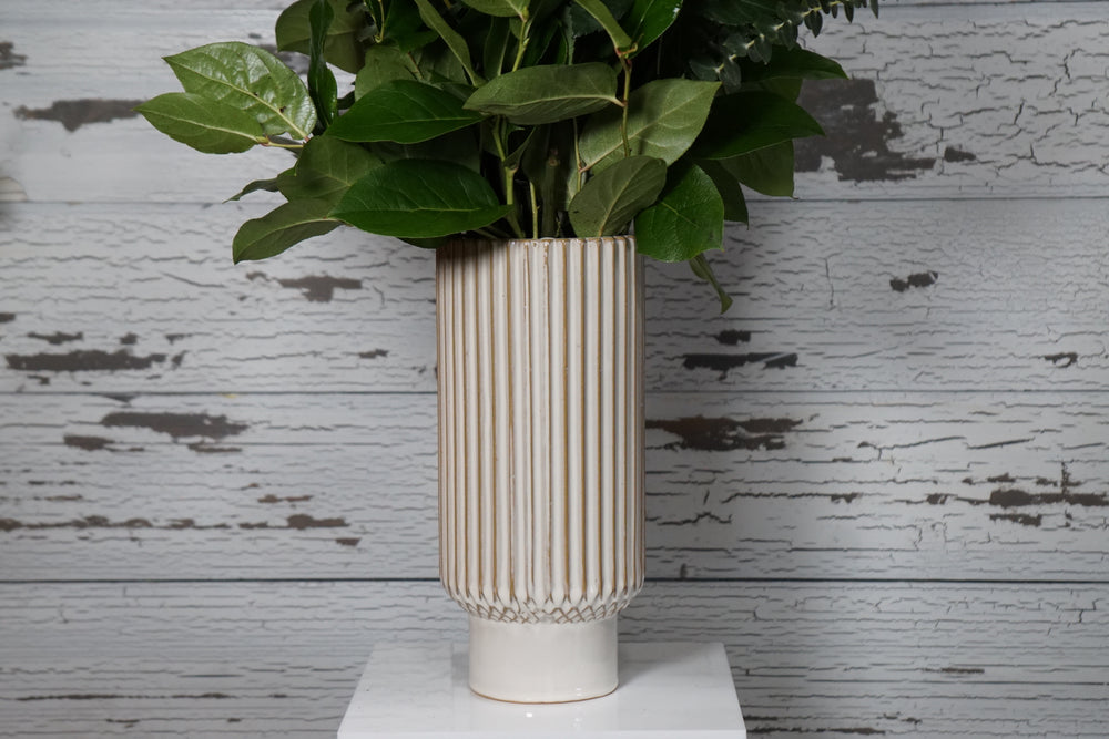 Dozen Roses Arrangement In a Contemporary Vase