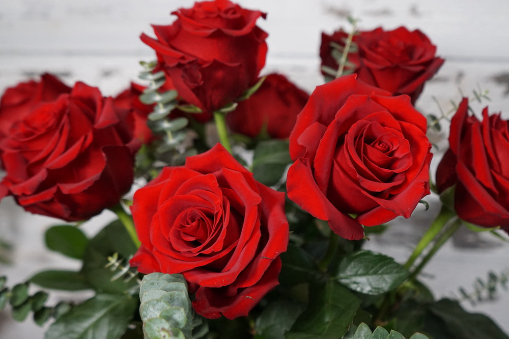 Dozen Roses Arrangement In a Contemporary Vase