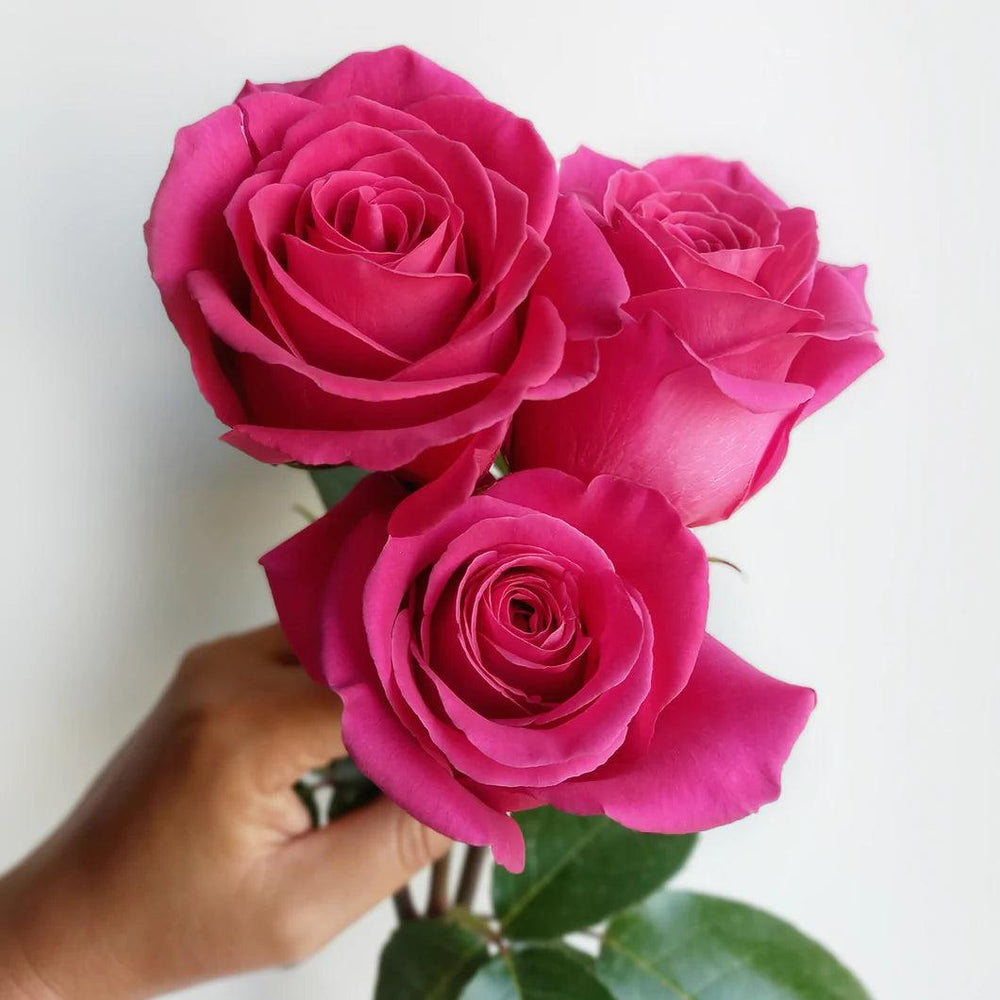 Dozen Roses Vase Arrangement