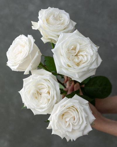 Dozen Roses Vase Arrangement